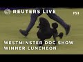 LIVE: Westminster dog show champion is served a posh lunch
