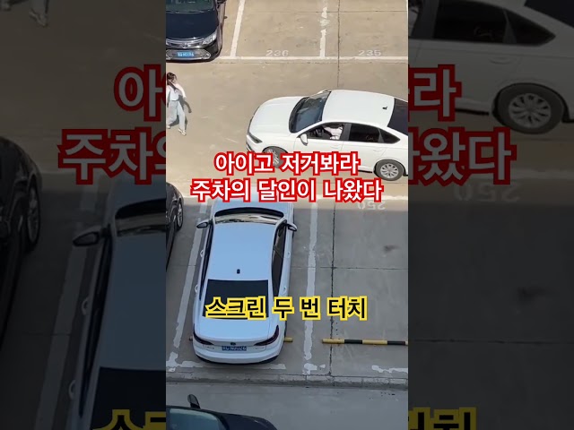 아이고 저거봐라 주차의 달인이 나왔네?