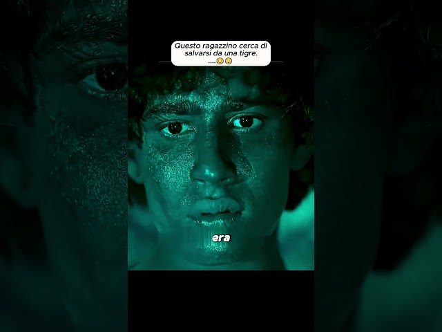 Questo ragazzino cerca di salvarsi da una tigre... #film #shorts
