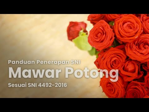 https://youtu.be/v9vKIudprWIPanduan Penerapan SNI Mawar Potong sesuai SNI 4492-2016