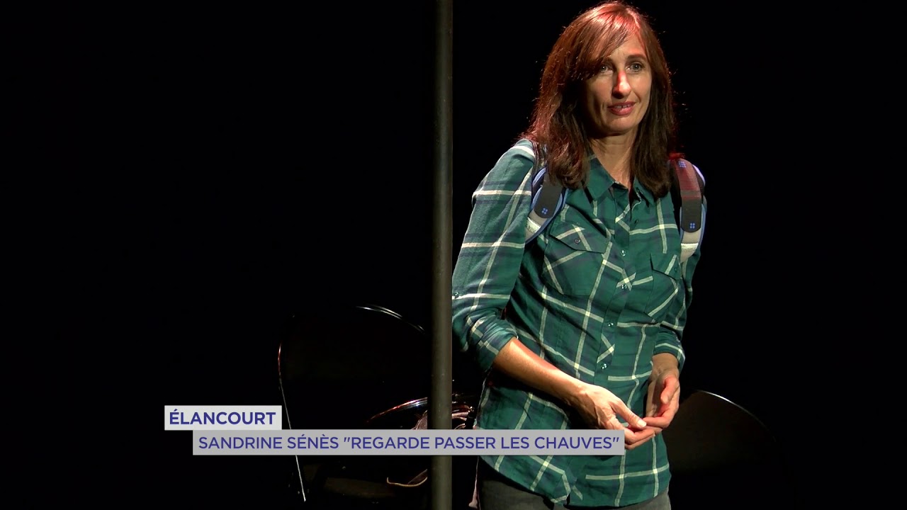 Elancourt : Sandrine Senes  » regarde passer les chauves « 
