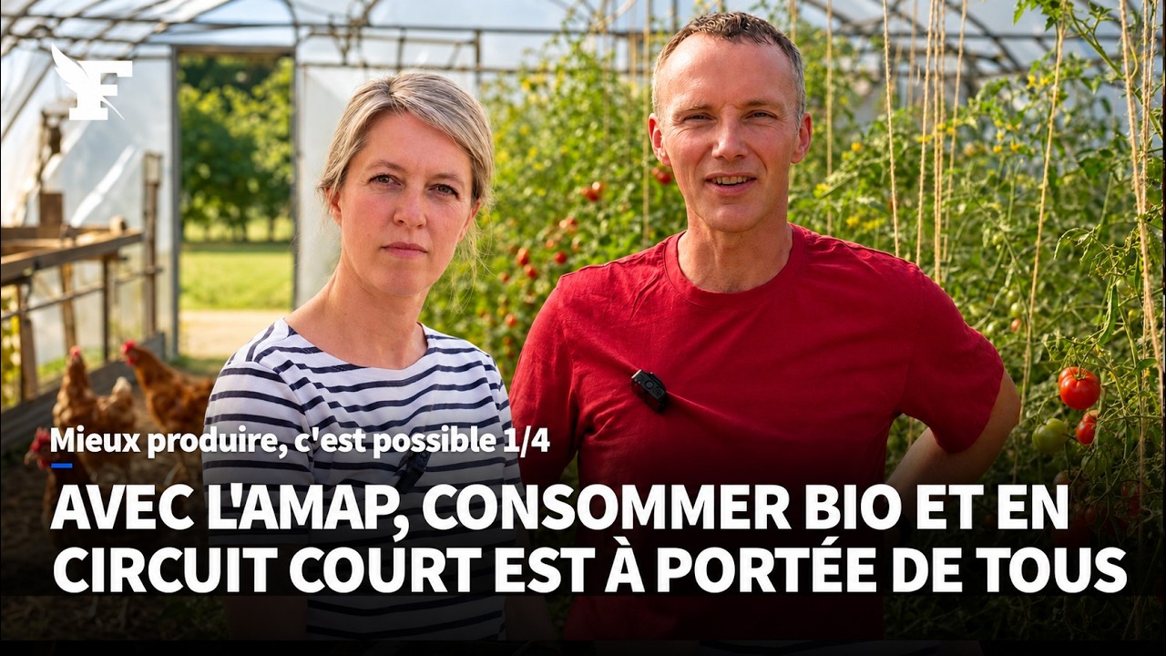 AMAP : ces producteurs qui tournent le dos aux supermarchés