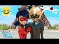 Miraculous Tales of Ladybug amp Cat Noir  Stone Heart  Official Disney Channel UK - YouTube