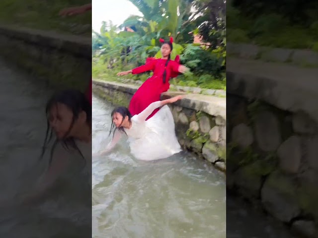 Peri merah dorong dara