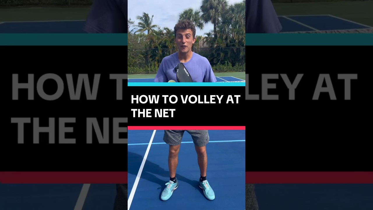 How to volley at the net in pickleball! #pickleball #pickleballtips #shorts