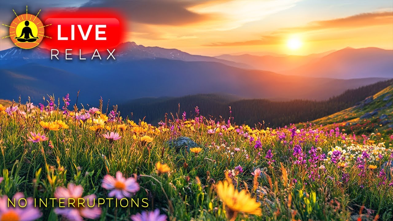🔴 STUNNING RELAXATION MUSIC 24/7 🌿3195, Anxiety Relief, Calming Meditation Music, Sleeping Music