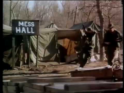 Operation Warzone'
