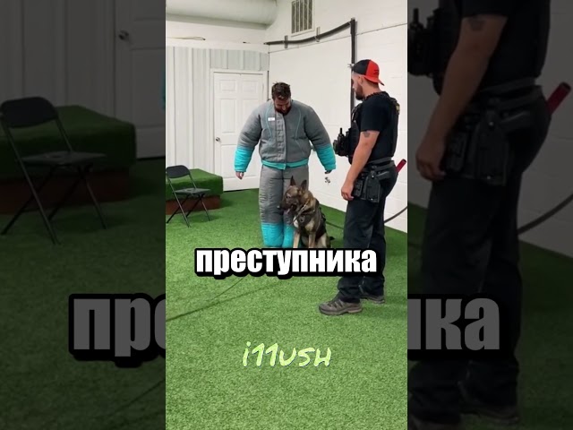 Не прошли по милашеству
