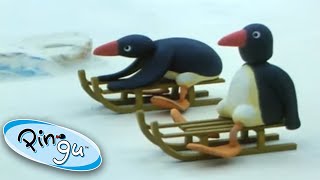 Pingu na tobogne