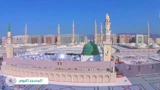 المدينة المنورة عاصمة السياحة الاسلامية - المسجد النبوي - 