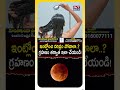 ఇంట్లోంచి దరిద్రం పోవాలా! #lunareclipse2025 #chandragrahanam #shorts #Grahanam  - 00:52 min - News - Video
