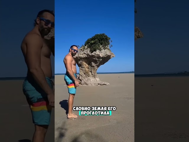 Он все таки выполнил свою цель 😮