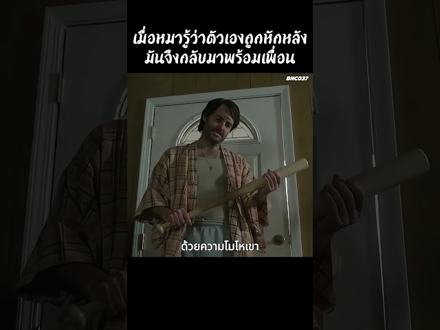 เมื่อเจ้าหมารู้ว่าตัวเองถูกหักหลังมันจึงกลับมาพร้อมเพื่อน