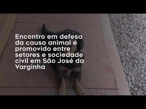 Vídeo: Encontro em defesa da causa animal é promovido entre setores e sociedade civil em São José da Varginha