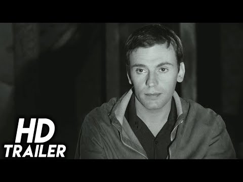 Pleins feux sur l'assassin'