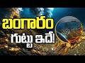 పసిడి పుట్టుక కనిపెట్టిన సైంటిస్టులు | Scientists discovered gold Birth | 10TV News