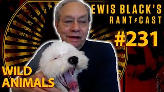 Wild Animals | Lewis Black's Rantcast #231