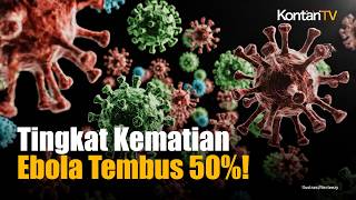 WHO Tetapkan Status Darurat Ebola! Virus Mematikan Kembali Mengancam