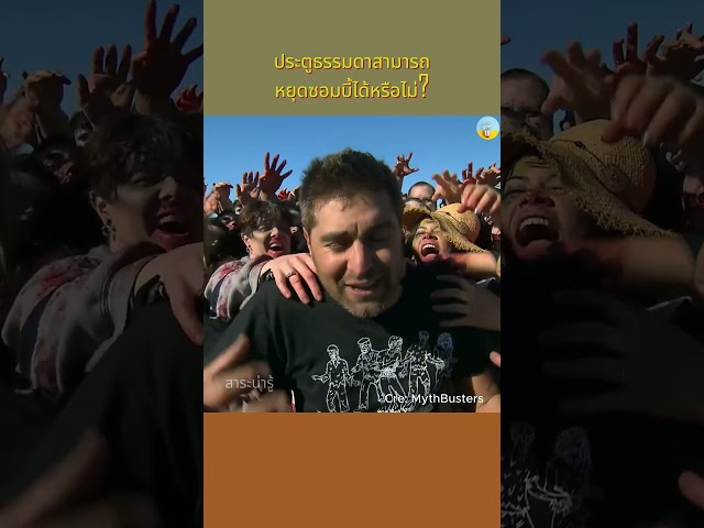 ประตูธรรมดาสามารถหยุดซอมบี้ได้หรือไม่?