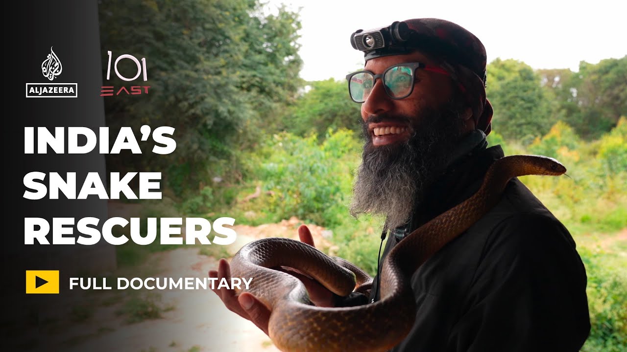 India’s snake rescuers: Can humans and serpents coexist in a megacity? | 101 East Documentary