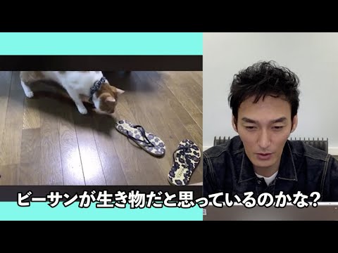 【2020年6月】月間ぷっくり大賞〜Pukkuri Of The Month〜