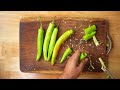 Mirapakaya Bajji | ఎన్ని తిన్నా ఇంకా తినాలనిపించే ఈసీ చిల్లి చీస్ మిర్చి బజ్జి | Mirchi Bajji Recipe  - 03:23 min - News - Video