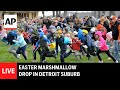 LIVE: Easter marshmallow drop in Detroit suburb