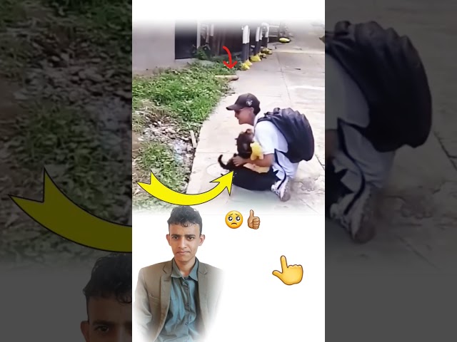 ما أصدق حب الكلب غاب عنه صديقه، فلما عاد، عانقه بأنينٍ موجع، وكأنه يقول أشتقت إليك بكل قلبي🥺🥰#shorts