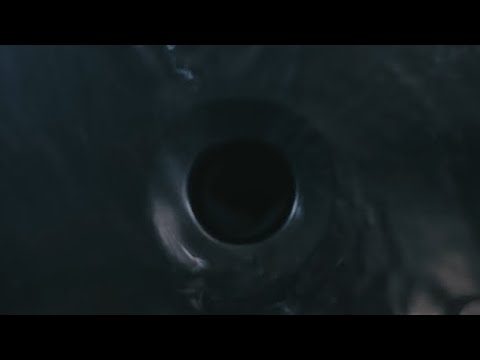 the twenties - 園の子 (Official Video)