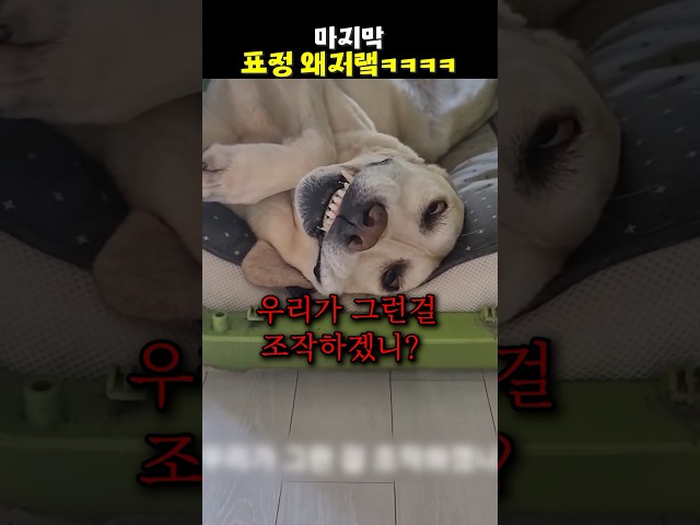 마지막 표정 왜저랰ㅋㅋㅋㅋ