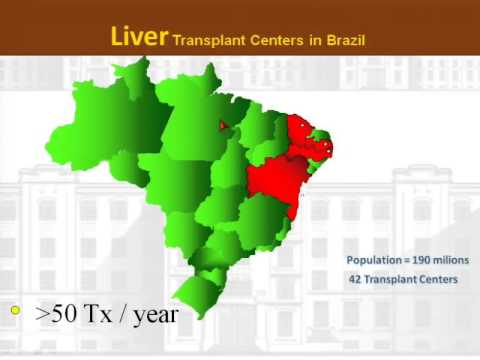 Liver Transplantation in Brazil 