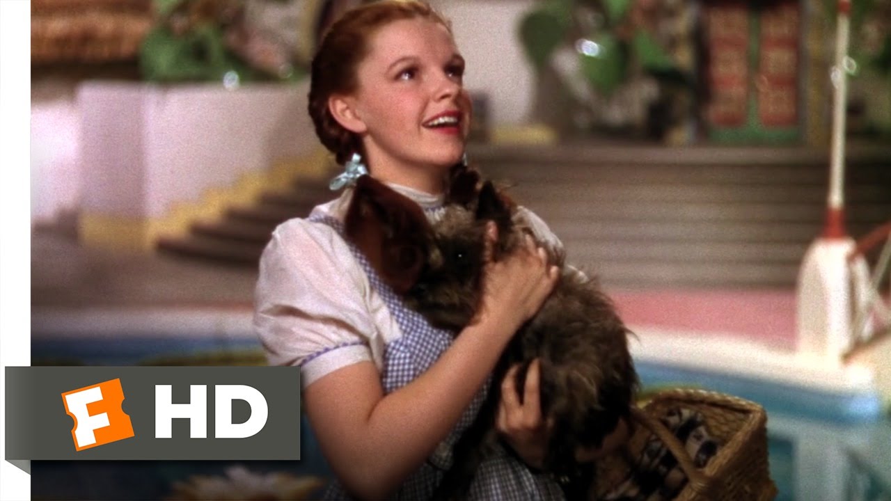 We&rsquo;re Not in Kansas Anymore - The Wizard of Oz (2/8) Movie CLIP (1939