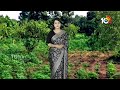 జీడితోటల్లో అంతర పంటలతో అదనపు ఆదాయం | Earn Extra Income from Intercropping in Cashew Plantations  - 05:22 min - News - Video