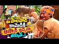 Latest Telugu Movie Comedy Scenes | ఈ పాలవాడి కామెడీకి ఆస్కార్ ఇచ్చినా తక్కువే | NavvulaTV