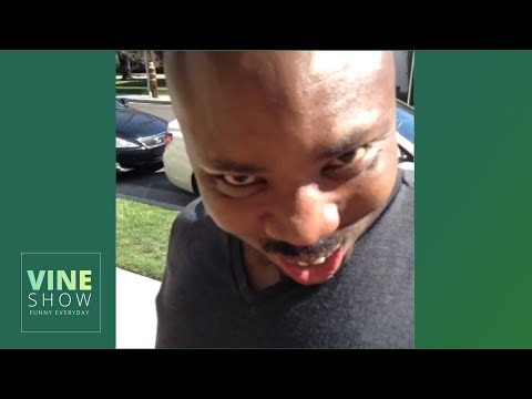 270+ Pagekennedy Vines 2019 - Vine Back