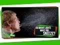 Can Bright Light Make You Sneeze?