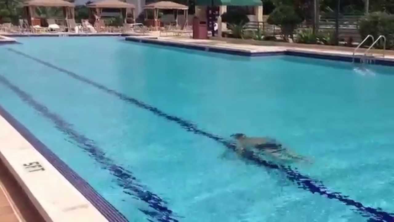 10 feet long pool