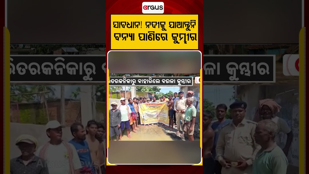ବନ୍ୟା ପାଣିରେ କୁମ୍ଭୀର | Crocodile Scare in Aali: Saltwater Crocodiles Enter Villages With Floodwaters