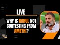 LIVE | Congress Amethi & Raebareli Suspense Ends | Rahul Gandhi To Fight From Raebareli | News9