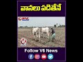 వానలు పడితేనే | Agricultural Works Started | V6 News