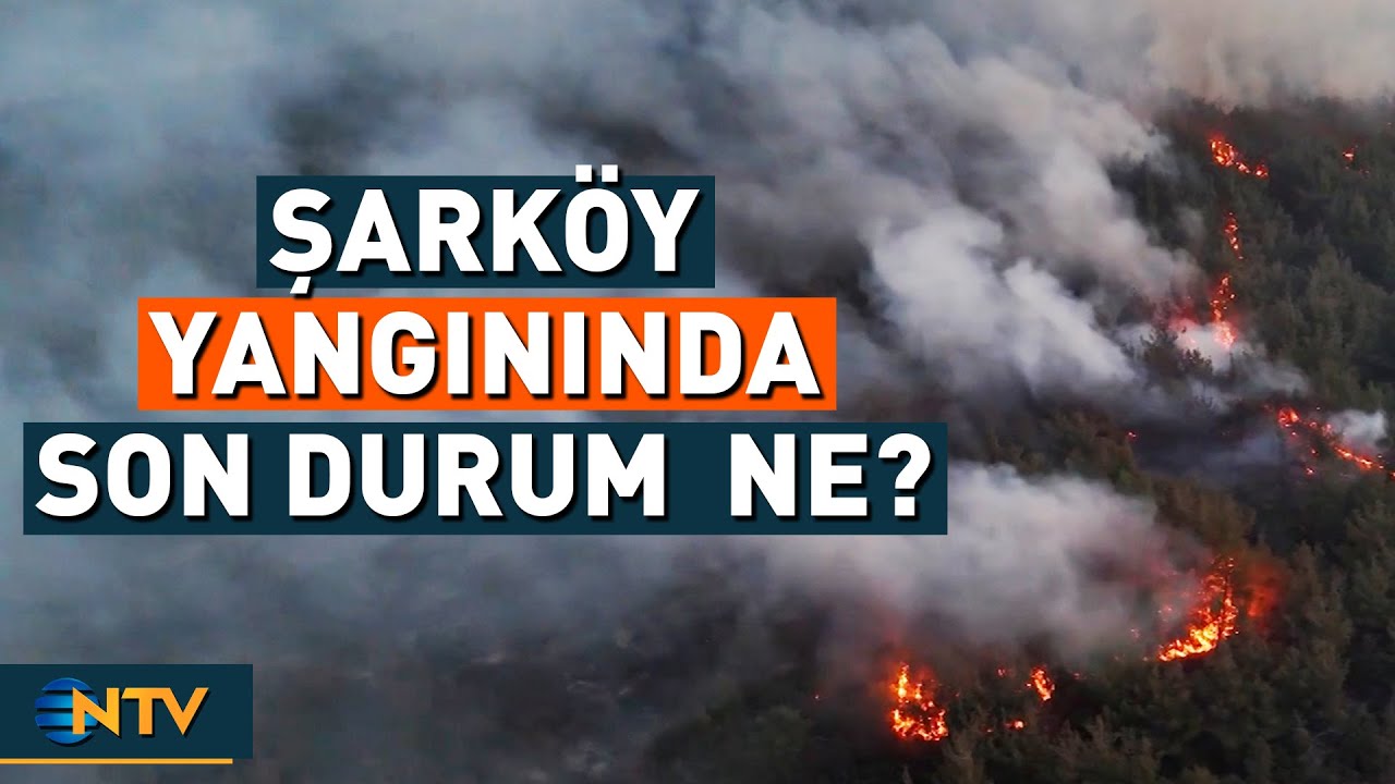 Şarköy Yangınına Müdahalede 2. Gün | NTV