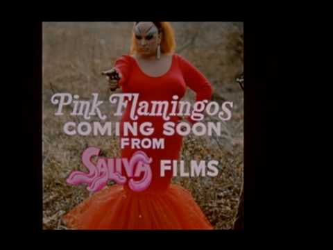 Pink Flamingos'