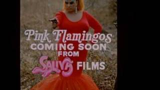 Pink Flamingos Trailer