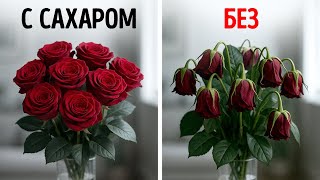 Повседневные трюки, о которых вы пожалеете, что не узнали раньше