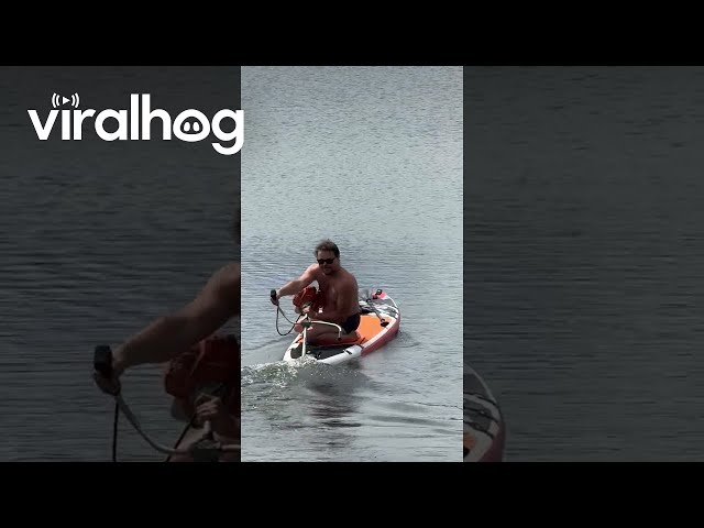 Dicaprio Lookalike Rides Paddle Board || ViralHog