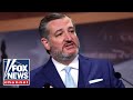 ACCOMPLICES IN CHAOS: Ted Cruz calls out Dems for aiding and abetting