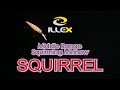 Leurre Squirrel 61 SP Illex 6,1cm