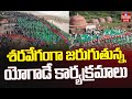 International Yoga Day 2025 | శరవేగంగా జరుగుతున్న యోగాడే కార్యక్రమాలు | hmtv