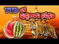 TTD Bans Watermelon in Tirumala For Weird Reasons