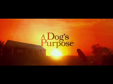 A Dog's Purpose'